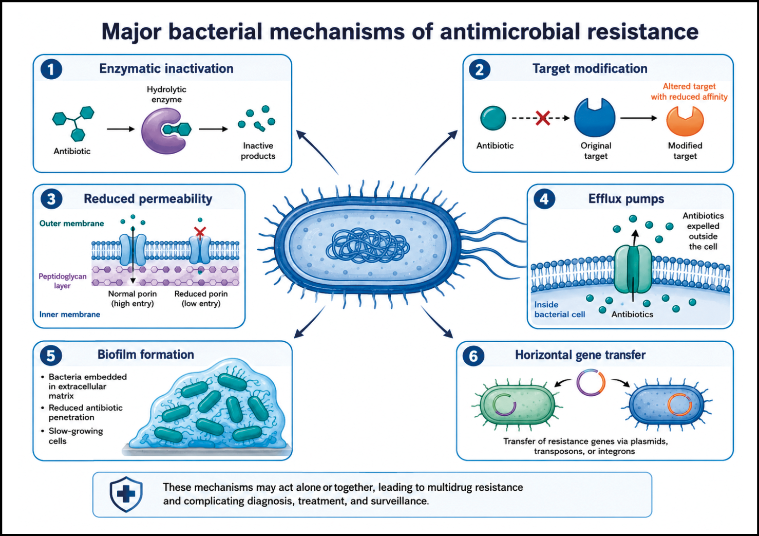 Meccanismi principali di resistenza antimicrobica batterica illustrati con diagrammi che mostrano inattivazione enzimatica, modifica del bersaglio, riduzione della permeabilità, pompe di efflusso, formazione di biofilm e trasferimento orizzontale di geni.

Descrizione generata da AI