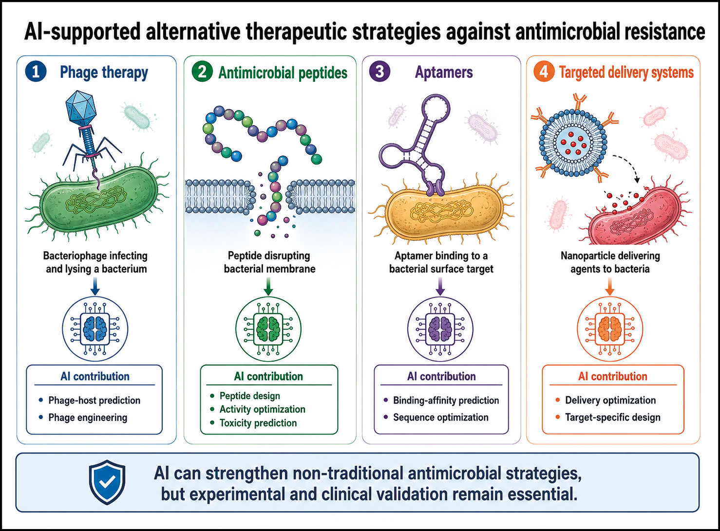 Strategie terapeutiche alternative supportate dall'intelligenza artificiale contro la resistenza antimicrobica includono terapia con faghi, peptidi antimicrobici, aptameri e sistemi di consegna mirata con contributi specifici dell'IA per ottimizzare predizione, progettazione e tossicità, evidenziando la necessità di validazione sperimentale e clinica.

Descrizione generata da AI